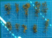 Drzewo z komosy ciernistej. Rozmiar: drobna roślinność, kolor żółto-zielone