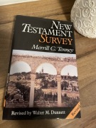 Książka NEW TESTAMENT SURVEY