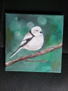 Obraz akrylowy ptak raniuszek