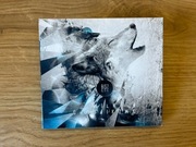 BISZ B.O.K - WILK CHODNIKOWY