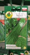 szczypiorek PRAZSKA nasiona