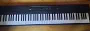 Korg Liano + pedał sustain komplet