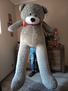 Duży miś pluszowy 200cm