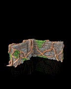 Mały Zestaw Terenów Fantasy Overgrown Walls & Pillars 3 elementy - 28/32mm