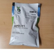 NASIONA NAPOLI F1 BEJO 25 000 nasion/ 31.10.2026r. / HOLENDERSKIE