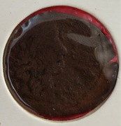 Jan II Kazimierz szeląg miedziany litewski 1666 destrukt rw: Głowa jelenia