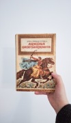 Książka Arkona Gród Świętowita Anna Świrszczyńska rok 1978 Poznań okładka m