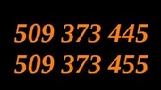 509 373 445 i 509 373 455  Złote 2 Podobne numery 