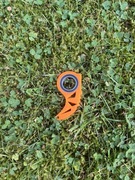 Keyrambit – Jaskrawy Pomarańczowy