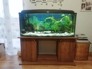 Akwarium 210l z szafką i akcesoriami