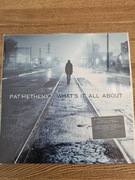 Pat Metheny Group Whats it all about