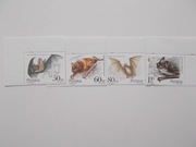 3508011 Nietoperze **