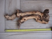 Korzenie Mopani do akwarium nr.2