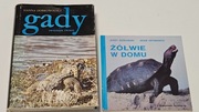 GADY Zwierzęta Świata i Żółwie w domu