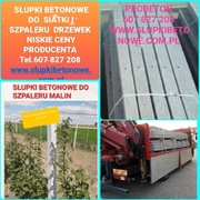 Słupki betonowe do siatki  leśnej i zwykłej 
