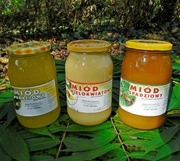 Zestaw miodów 3x akacja wielokwiatowy spadziowy PL odporność witaminy