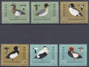 Ptaki kaczki Polska 1985 czyste **