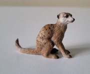 Schleich surykatka figurka model wycofany