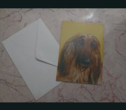 Pocztówka Chart afgański 