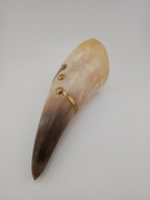 Stary róg obfitości 