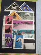 Filatel. -1963 Konie polskie