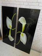 2 x panel szklany do kuchni 125x50 stan bdb