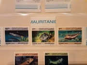 Mauretania 1987   Mi 920-2  ryby  seria  idealna