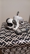 Pies robot Stunt dog