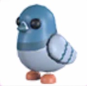 Rock Pigeon - Adopt Me Roblox