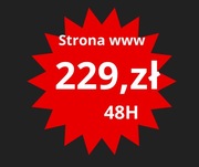SZOK! Twoja Profesjonalna Strona WWW w 48h za JEDYNE 229 