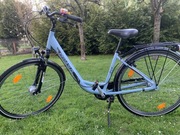 Rower Pegasus Avanti