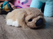 The dog pies piesek maskotka pluszak