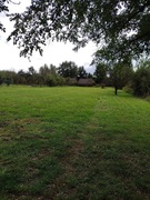 Działka gotowa do zabudowy 2650 m² i stary dom z bali z adresem/ Zawichost