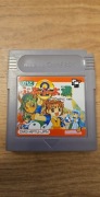 Gra Nintendo Game Boy Oryginał Pocket Puyo Puyo Street