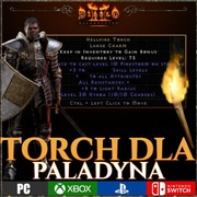 Diablo 2 Resurrected Torch PALADIN Paladyn Pochodnia XBOX NINTENDO PS5 PS4