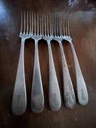 Widelce Marceli Jakubowski