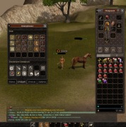 Projekt Hard Buffka 35lvl Szaman Smok 2x M1, koń, Jinno, metin2