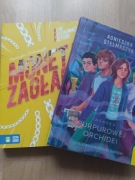 Literatura młodzieżowa Stelmaszyk 