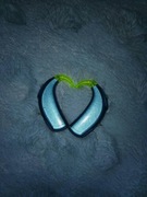 Aparaty Phonak Sky V 50