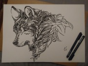 Rysunek: wilk, cienkopis - blok. A3, 250 g/m2