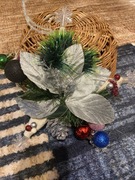 Gwiazda świąteczna