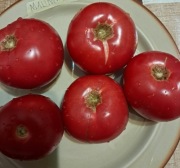 Nasiona pomidor Malinowy minimum 10szt.