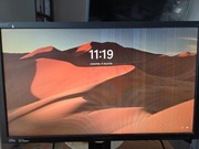 Monitor gamingowy ACER XB1 Predator (model XB241H) 24" - uszkodzony