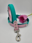 Obroża i smycz wodoodporna 