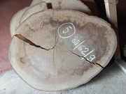 Plaster Drewna BUK 80/62/9 cm Blat Stolik Żywica DIY Wysuszony