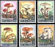 Grzyby 891 - 896  **