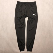 Spodnie Puma teamRISE Poly Training 657390-03 r. M