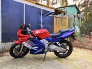 ホンダ NSR 
ラジコン バイク

京商 ホンダ NSR250R SE5型 MC28 プロアーム トリコ