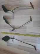 Philodendron joepii cięty węzeł 