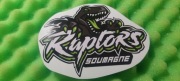 MONSTER ENERGY RAPTORS NAKLEJKA STICKER